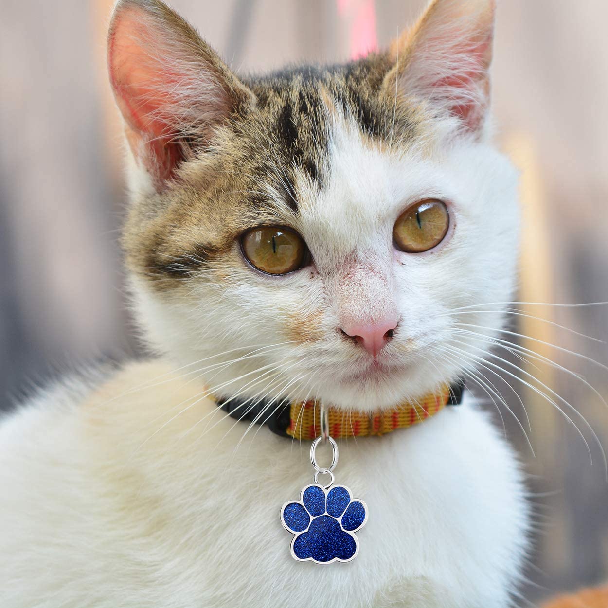 Paw Shaped Personalized Pet ID Tag